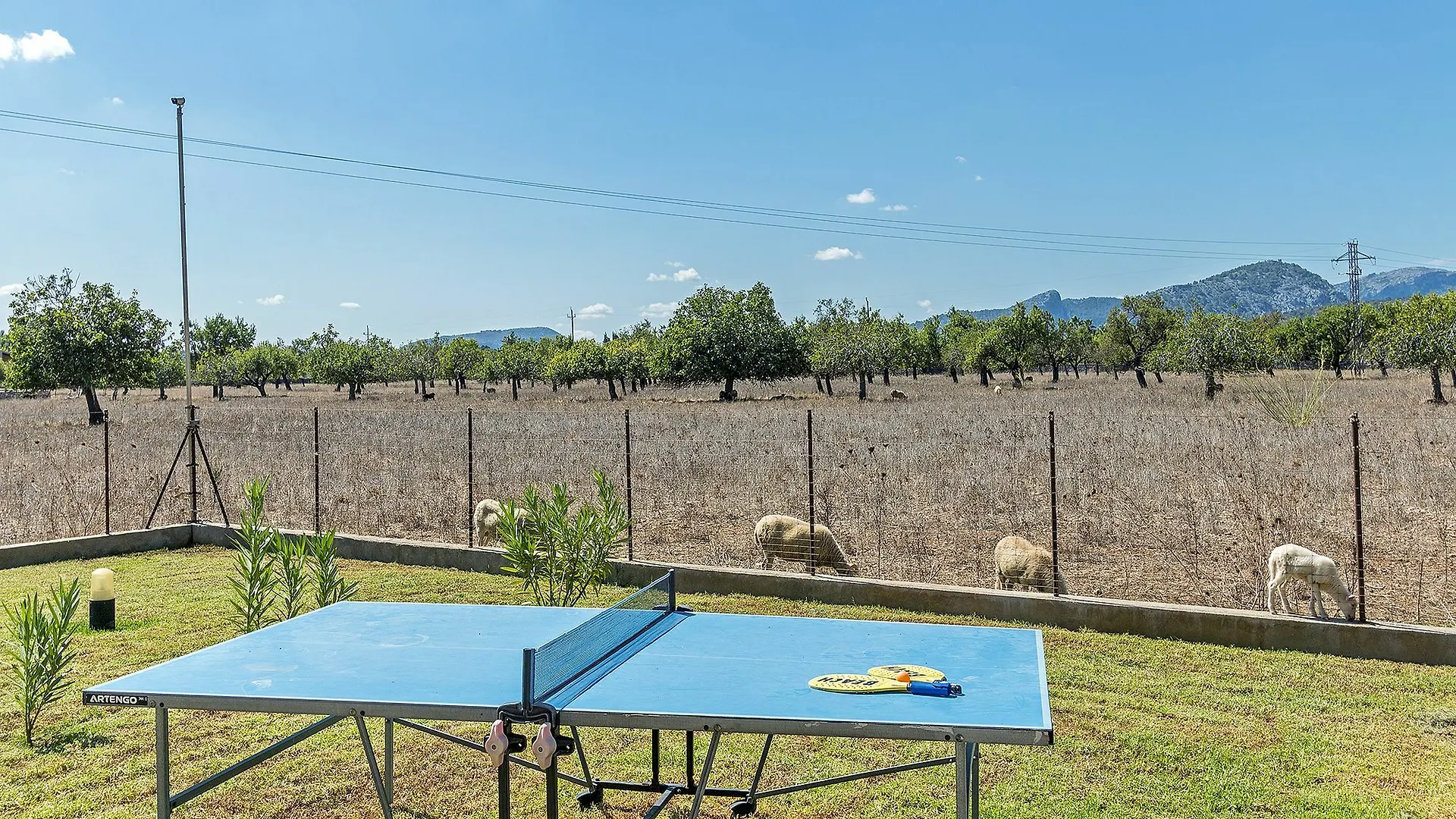 Vinya 3 Villa Port de Pollenca Spain